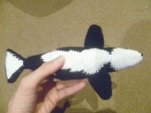 orca 2